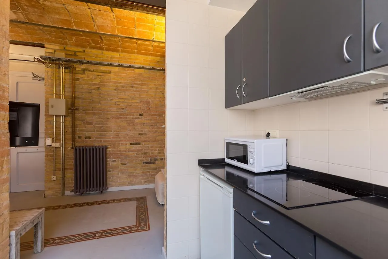 Apartamentos Dv Barcelona 0*,